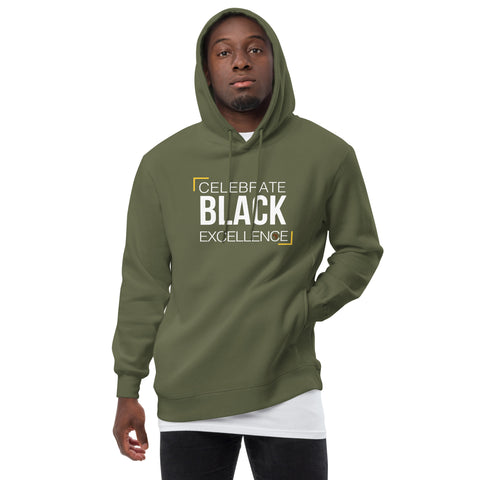 Teesafrique Sustainable Celebrate Black Excellence Unisex fashion hoodie