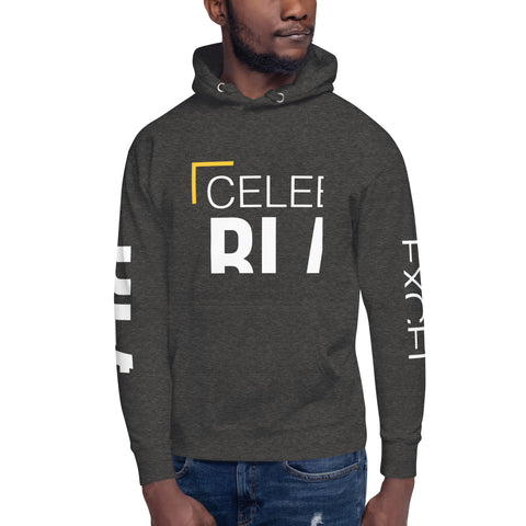 Teesafrique Sustainable Celebrate Black Excellence Unisex Hoodie
