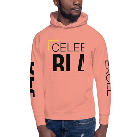 Teesafrique Sustainable Celebrate Black Excellence Unisex Hoodie