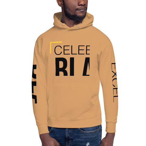 Teesafrique Sustainable Celebrate Black Excellence Unisex Hoodie