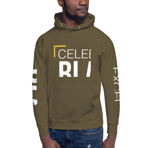 Teesafrique Sustainable Celebrate Black Excellence Unisex Hoodie