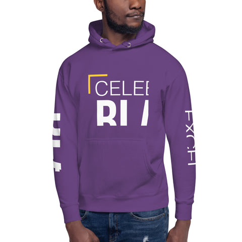 Teesafrique Sustainable Celebrate Black Excellence Unisex Hoodie